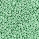 Seed beads 11/0 (2mm) Spring bud green